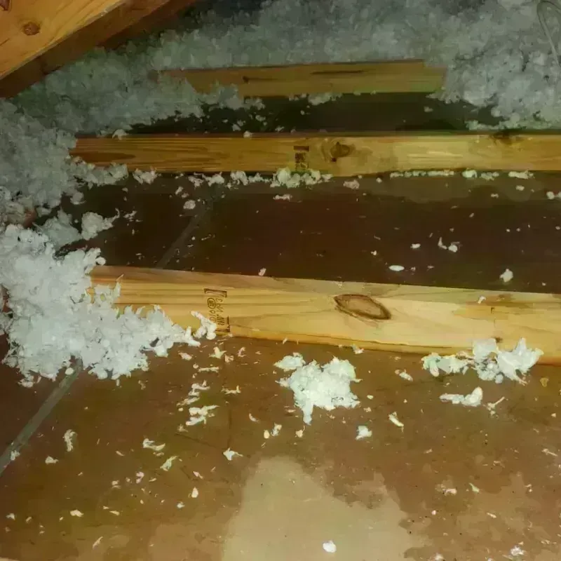 Attic Water Damage in Aurora, IL