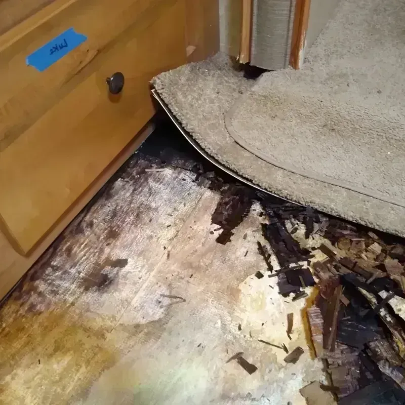 Wood Floor Water Damage in Aurora, IL